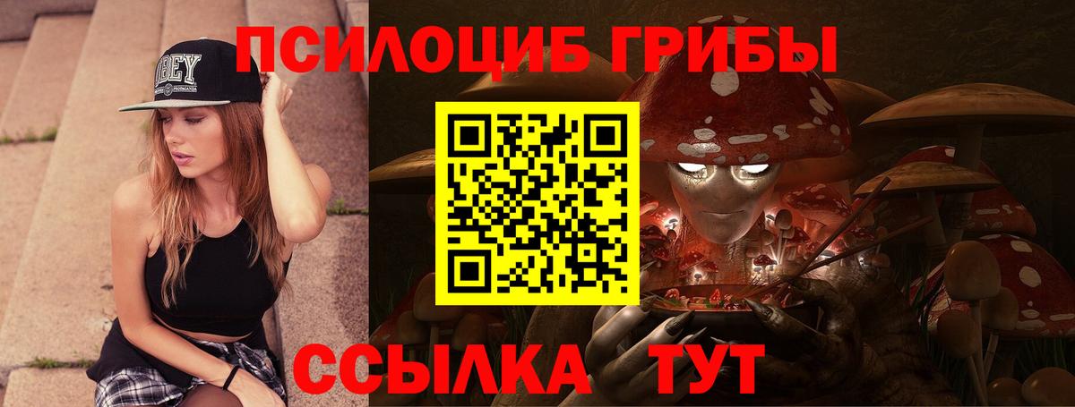 Псилоцибиновые грибы Psilocybe  Галлюциногенные грибы мицелий  Вход с VPN  купить закладку  Урус-Мартан 